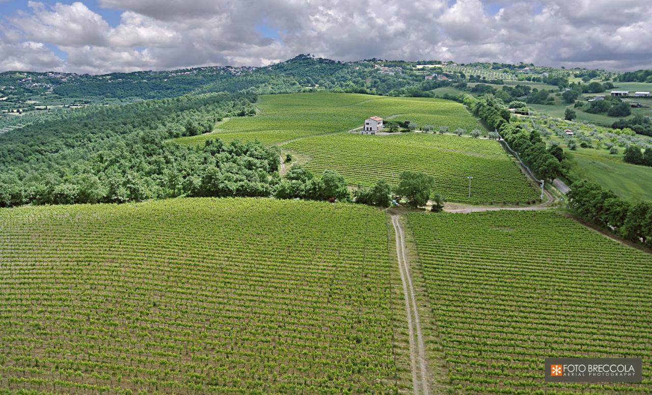 Agriturismo Vigna Sul Lago Монтеф'ясконе Екстер'єр фото